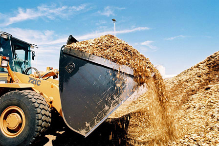 Biomassa (resthout): Het product en de Nederlandse&nbsp;politiek.