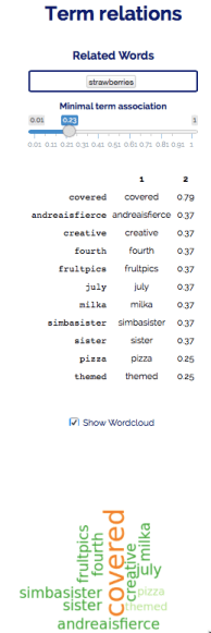 Termrelations_tweetexplorer