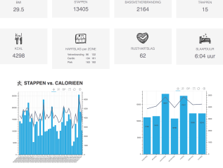 E-health platform voor&nbsp;Fitbit